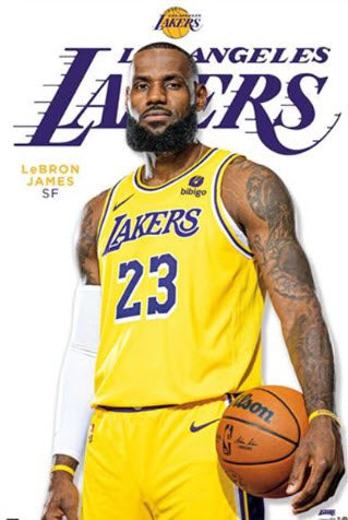 NBA Los Angeles Lakers LeBron James Feature Series 23 Stylish Poster